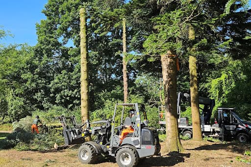 Baum- und Strauchpflege Mathias Keßeler — Kundenfoto