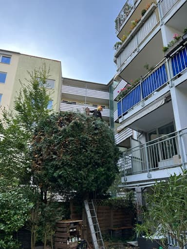 Kuhn Garten- und Landschaftsbau GbR — Kundenfoto