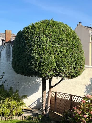 Garten- & Landschaftspflege Willi Möller — Kundenfoto