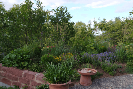 Gräber Garten- und Landschaftsbau — Kundenfoto